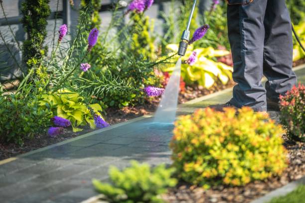 Best Animal Enclosure Cleaning  in Edgefield, SC